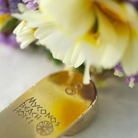 Ξενοδοχείο Mykonos Mykonos Town